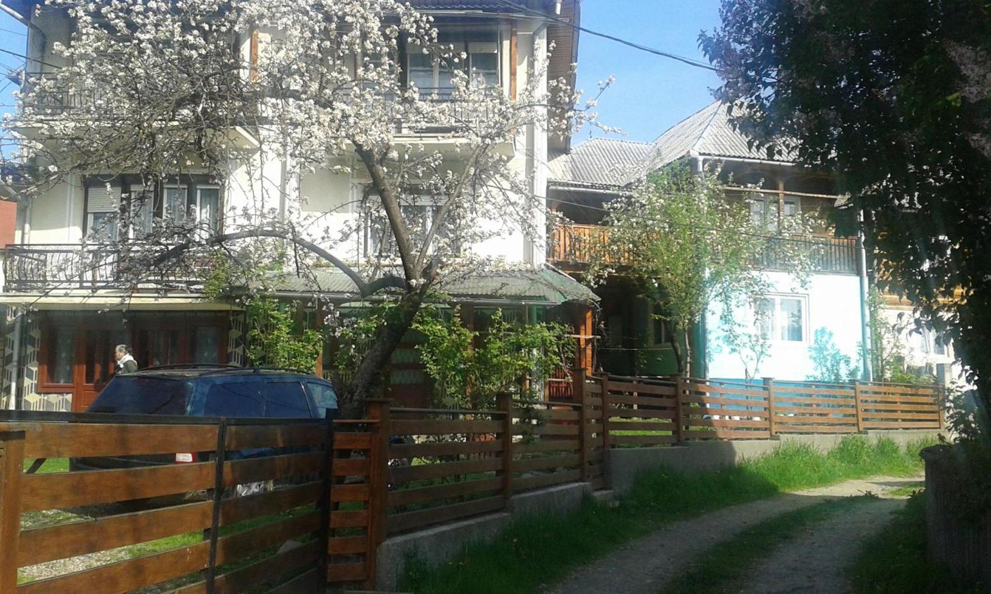 Casa Poienar Villa Botiza Екстериор снимка